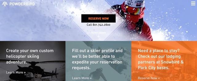 Powderbird Website Post Image